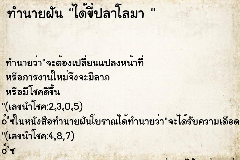 ทำนายฝันทำนายฝันได้ขี่ปลาโลมา